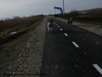Imagine atasata: Bega - 2015.01.17 - 139.jpg